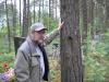 Аватар пользователя А.П. Конкка